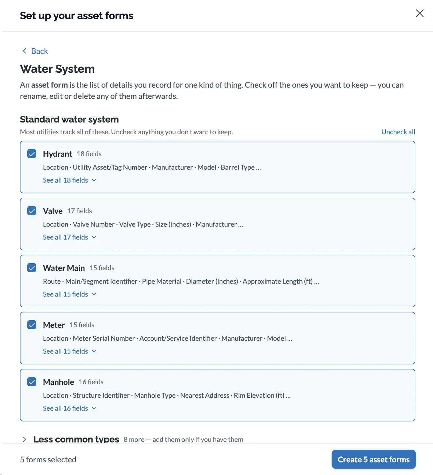 Setting up asset forms from a standard water system template: hydrant, valve, water main, meter, and manhole